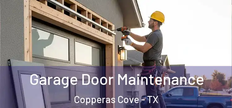 Garage Door Maintenance Copperas Cove - TX