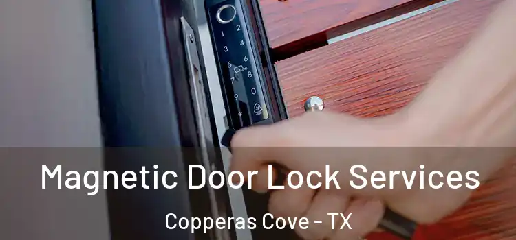 Magnetic Door Lock Services Copperas Cove - TX
