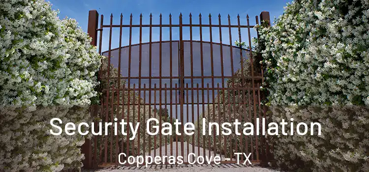 Security Gate Installation Copperas Cove - TX